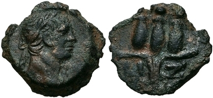 3115 Traj s ct.jpg