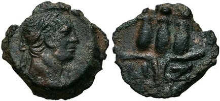 3115 Traj s ct.jpg