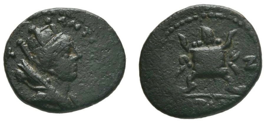3120 ct.jpg