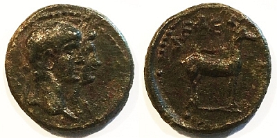 3124 Livia 4.jpg