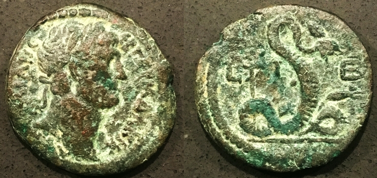 3132 A ct.jpg