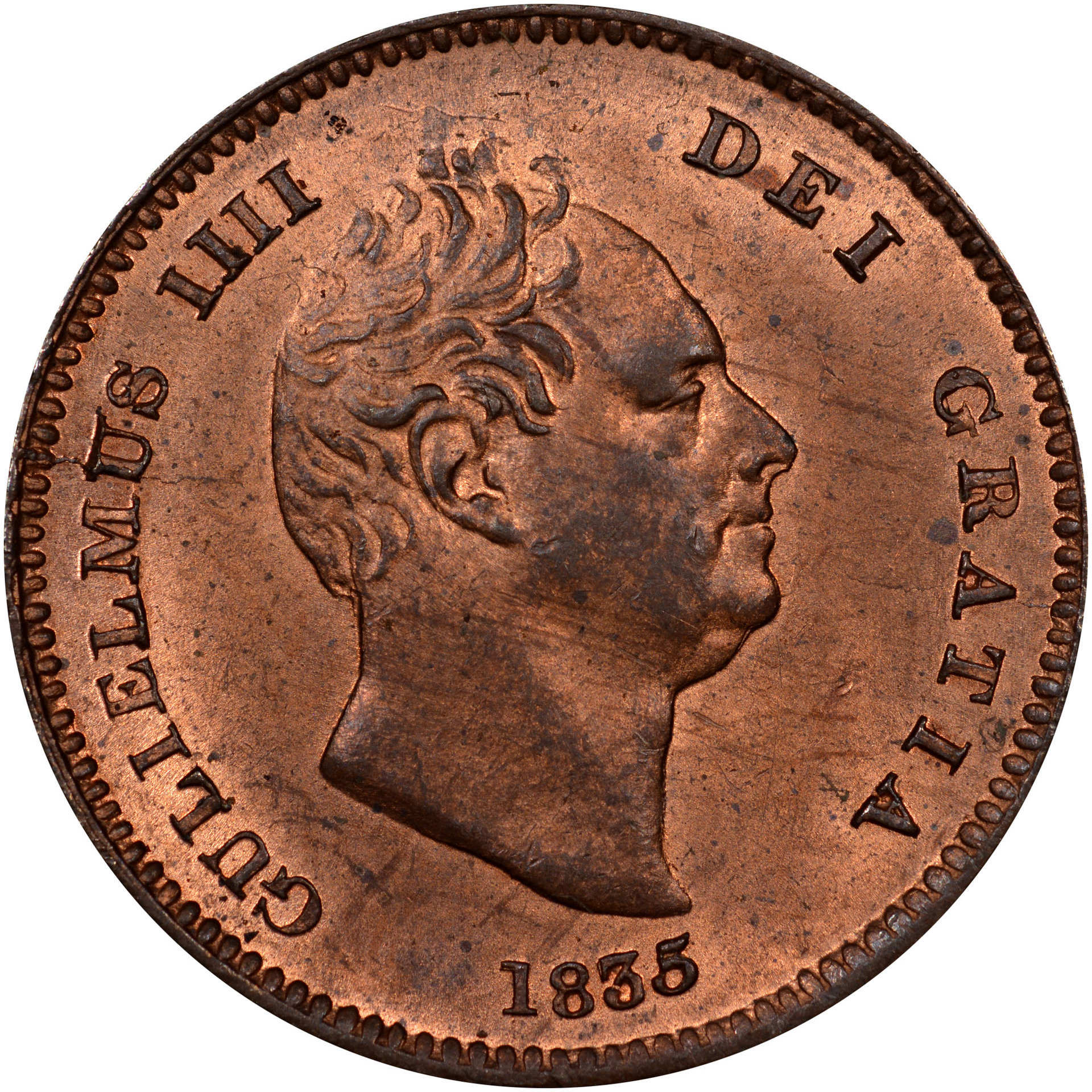 313389f.jpg