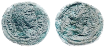 3134 Pelusion s ct.jpg