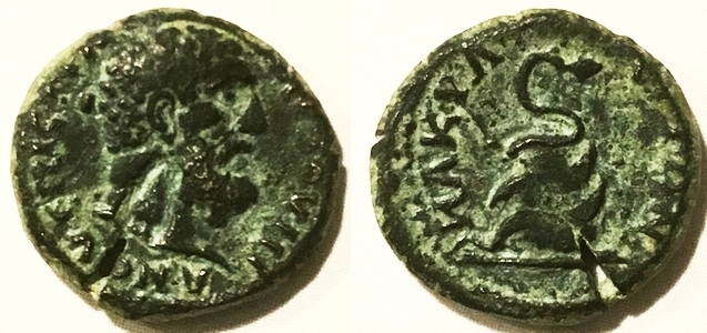 3135 N.jpg