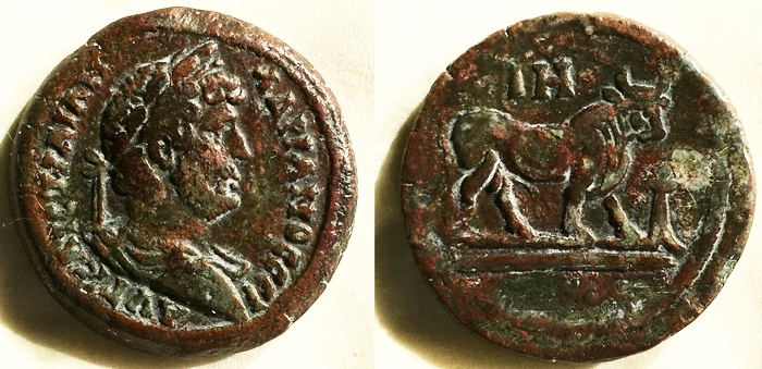 3137 Hadr diob ct.jpg