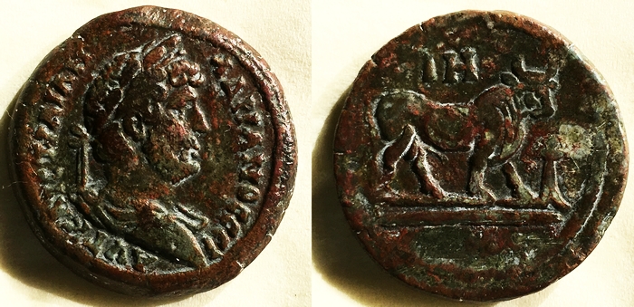 3137 Hadr diob ct.jpg