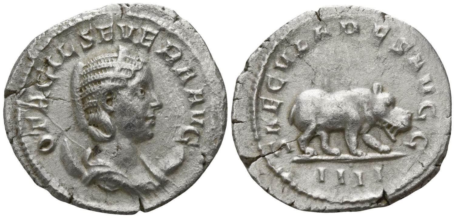 3138853l.jpg
