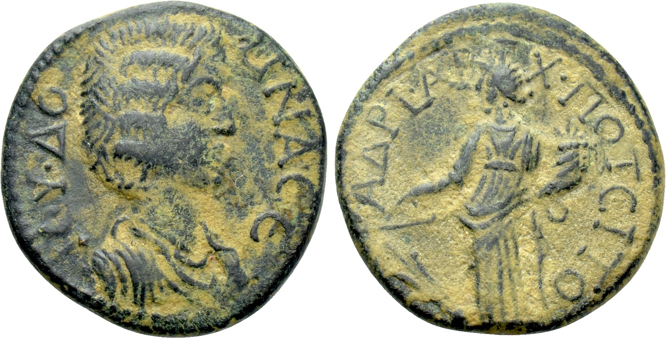 317.jpg