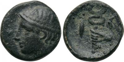 3181660.m.jpg