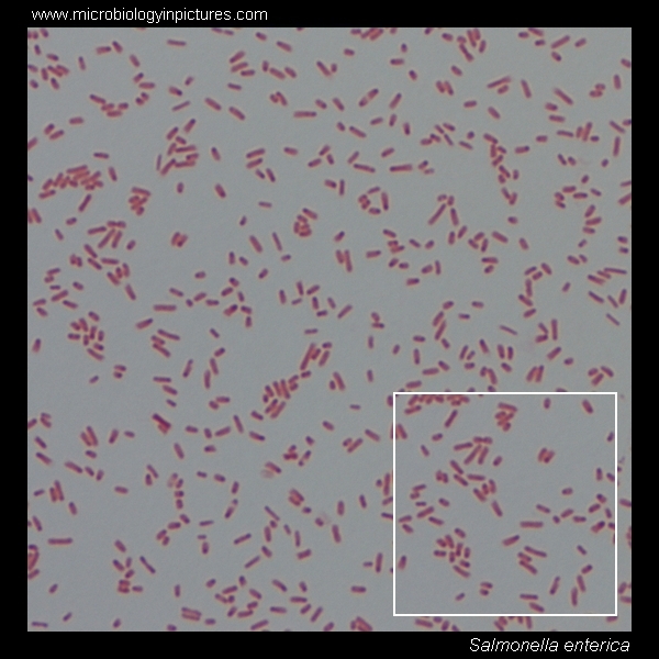 318384FE-88A0-4038-A86B-CBCCC2A7AA1A.jpeg