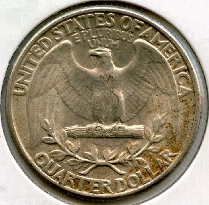 3186544321561549932.jpg