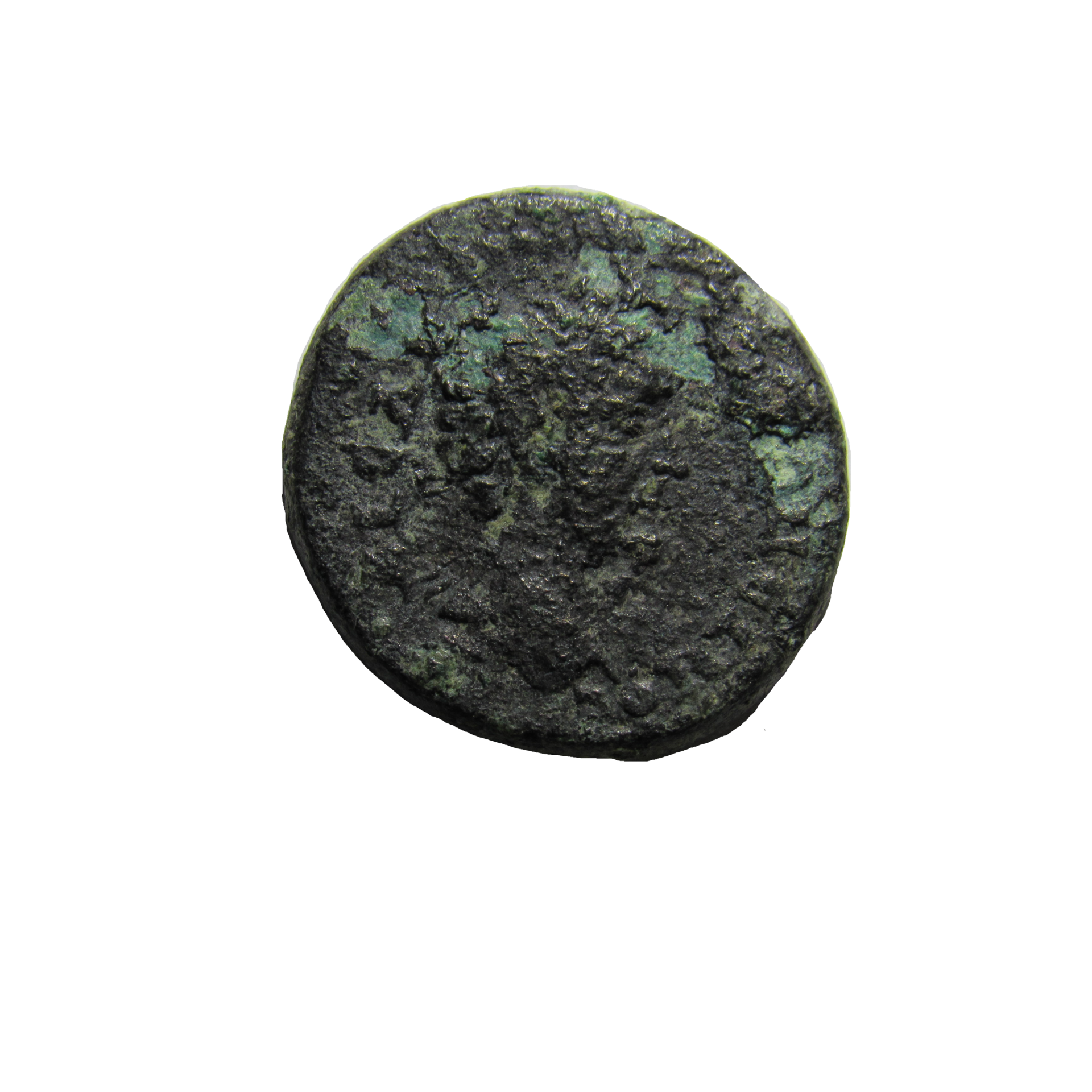 32040336_Unknown.png