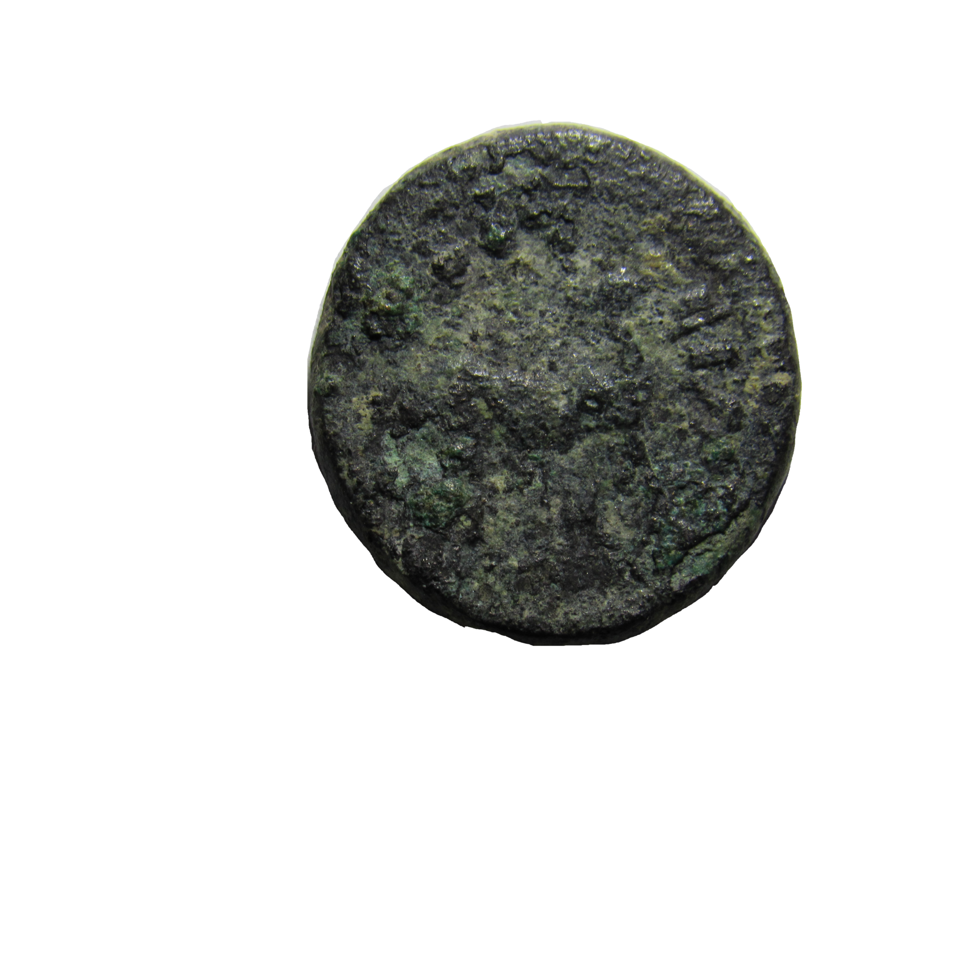 32040352_Unknown.png