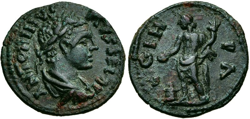 3215 Ela.jpg