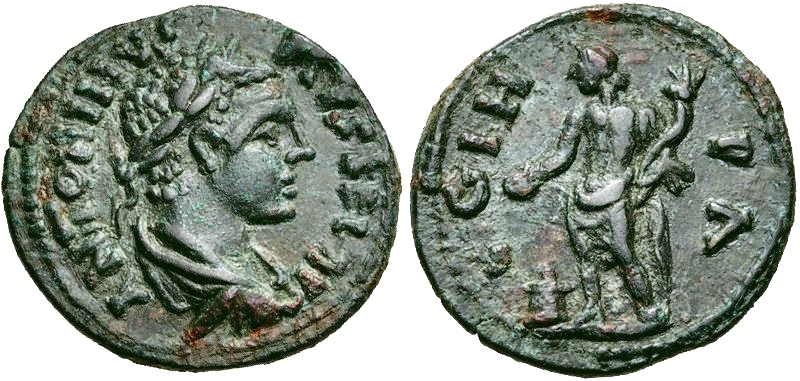 3215 Ela.jpg
