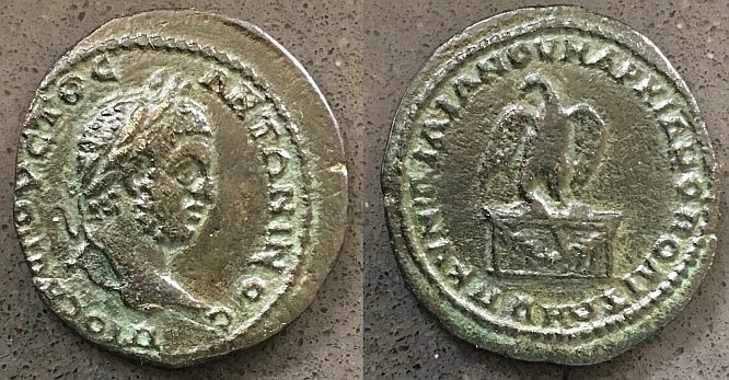 3229 Marcianop wo.jpg
