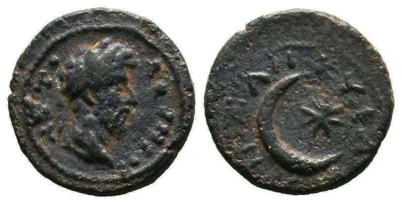 3339774_1665045064.l.jpg