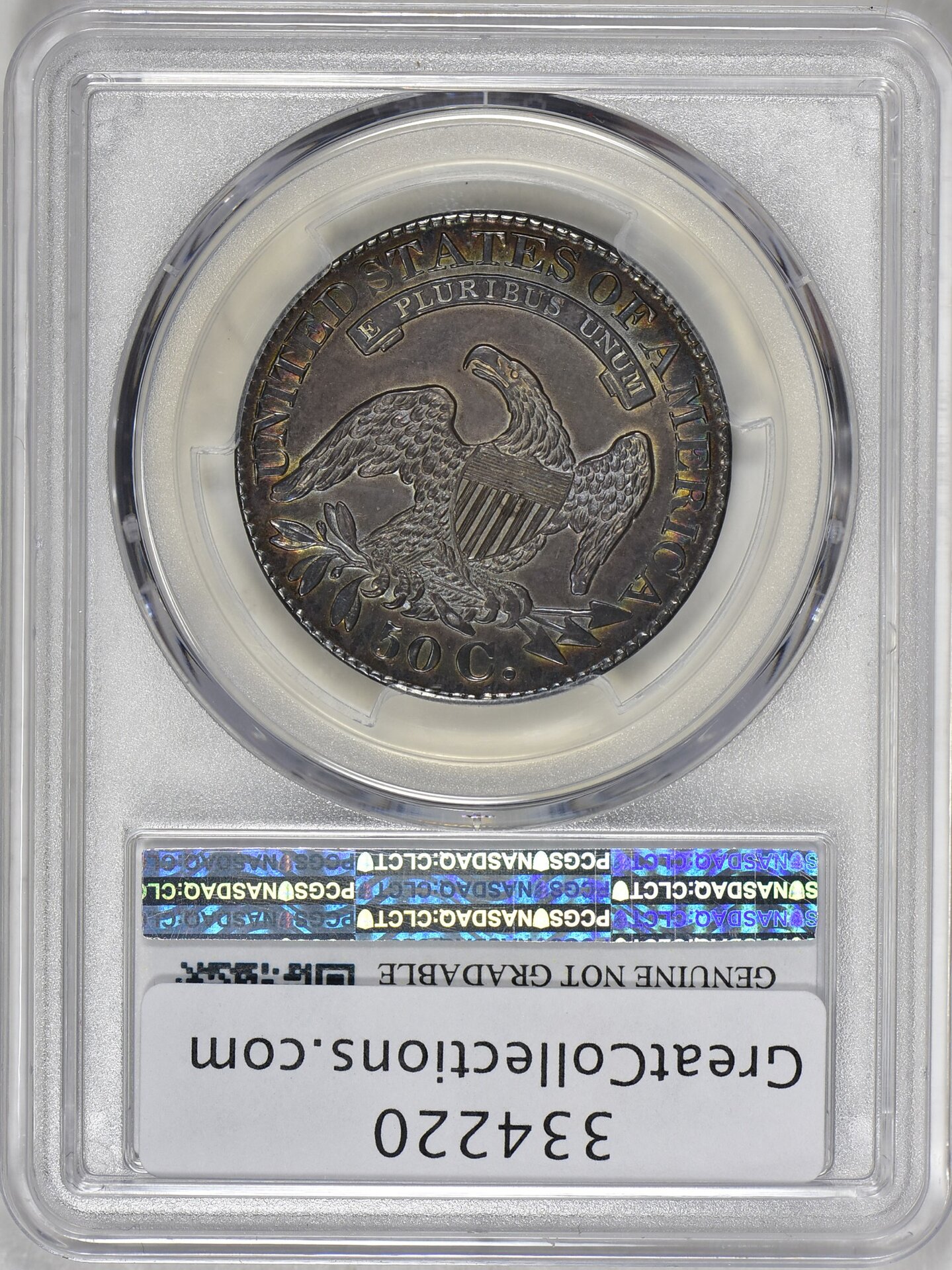 334220-2.jpg