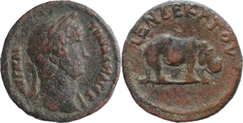 337 P Hadrian Emmett1138.jpg