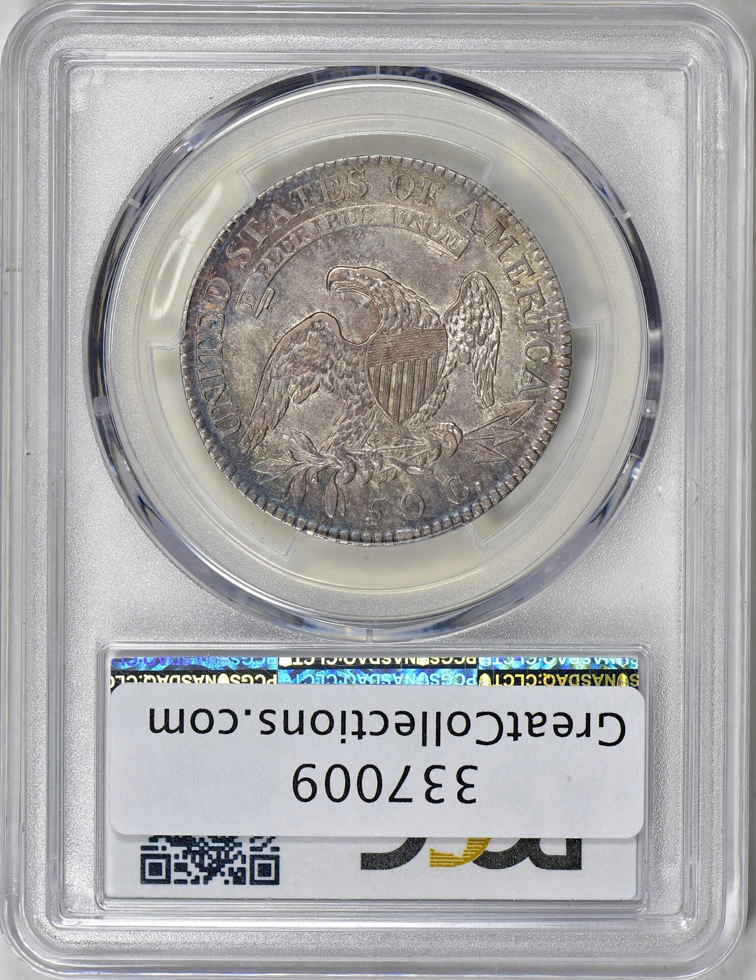 337009-2.jpg