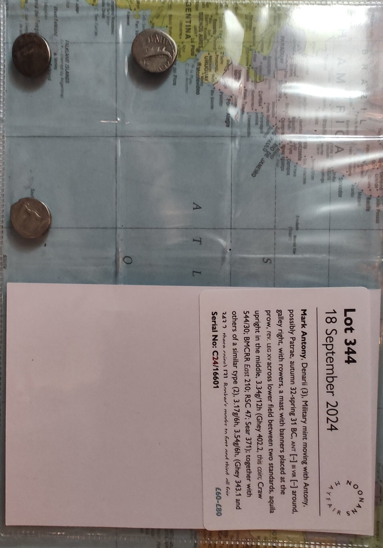 344.jpg
