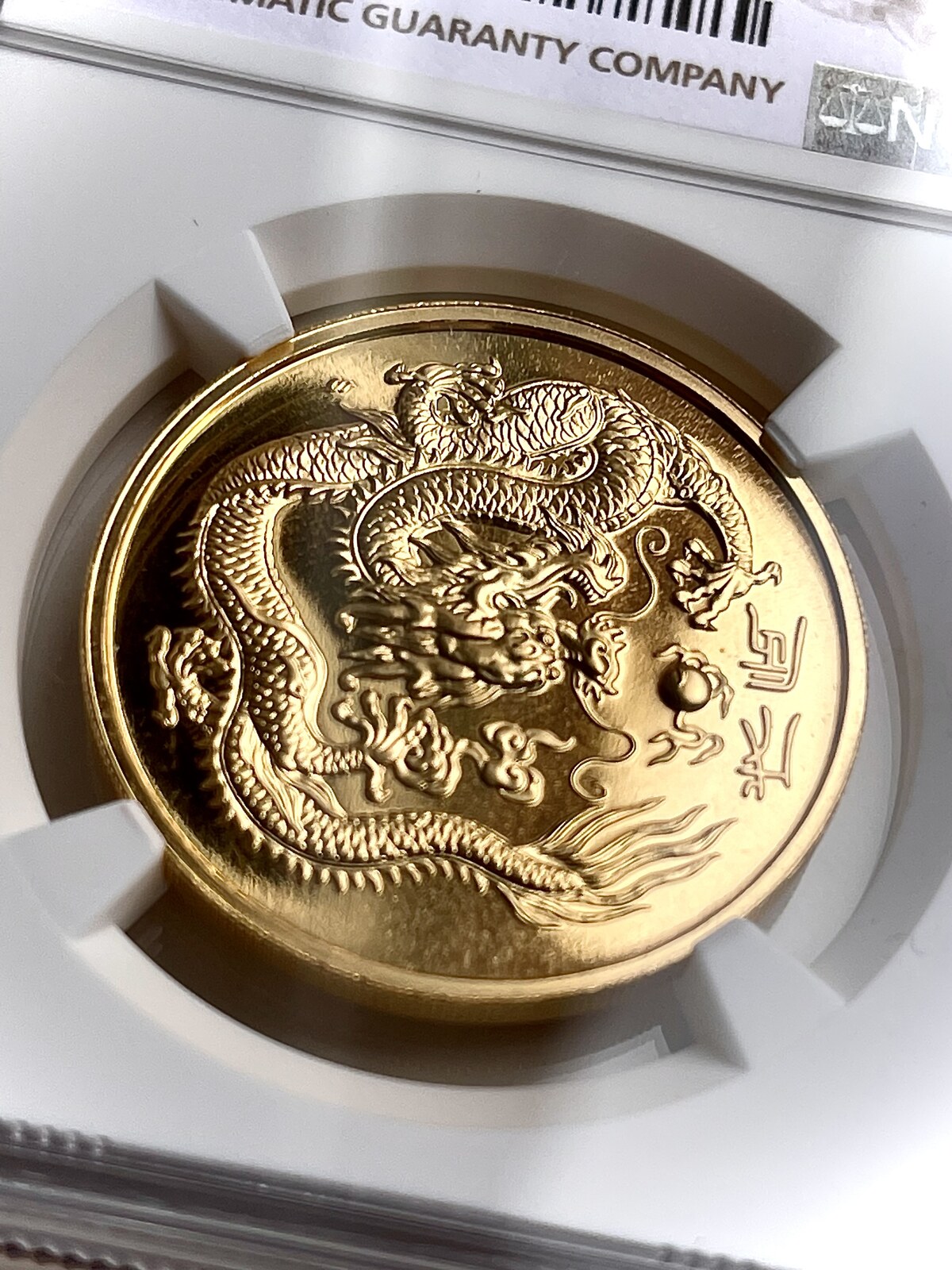 345_singapur-year-of-the-dragon-100-_3802439526.jpg