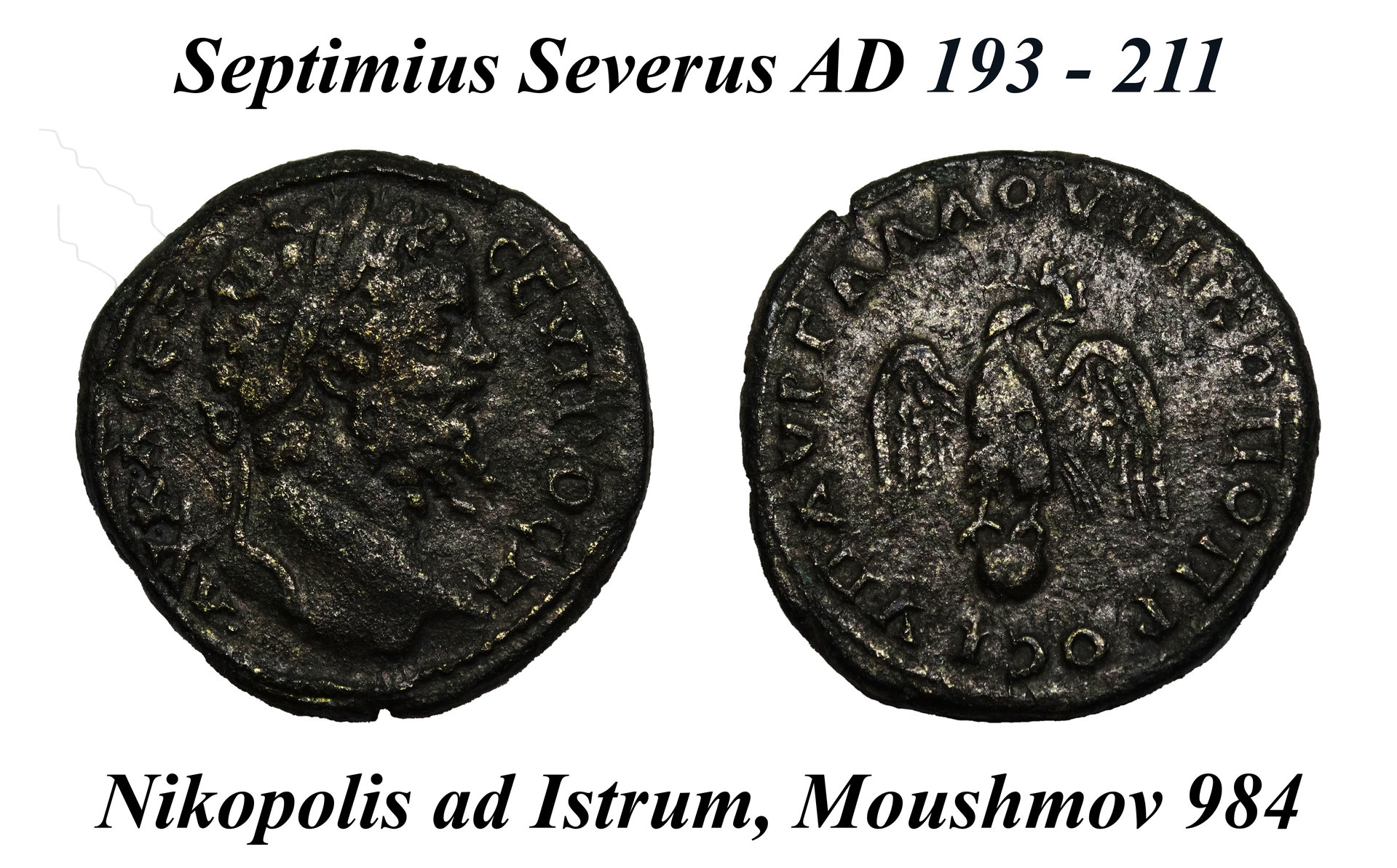 34h Septimius Severus, Nikopolis ad Istrum, Moushmov 984.jpg