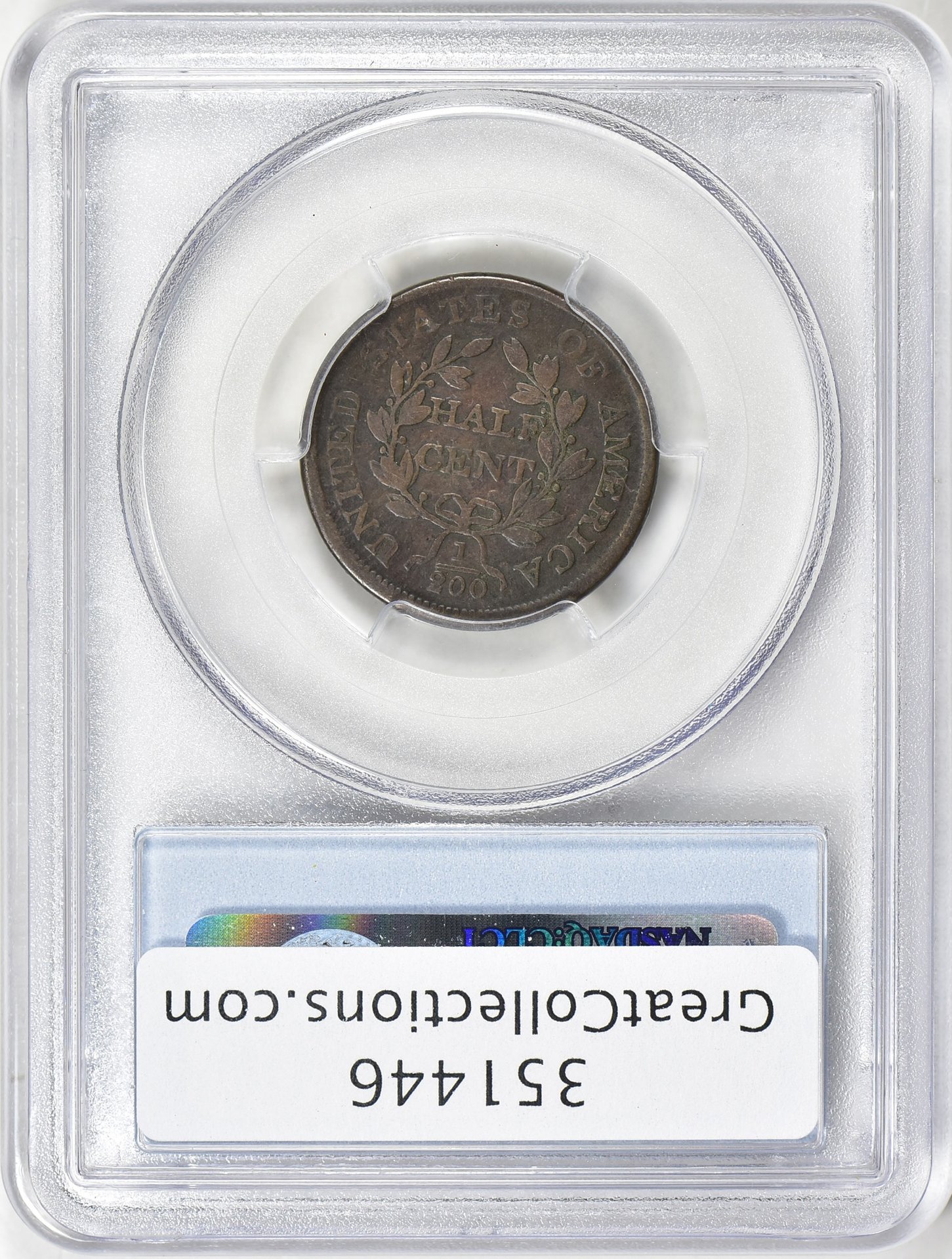 351446-2.jpg