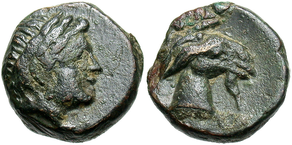 3519.jpg