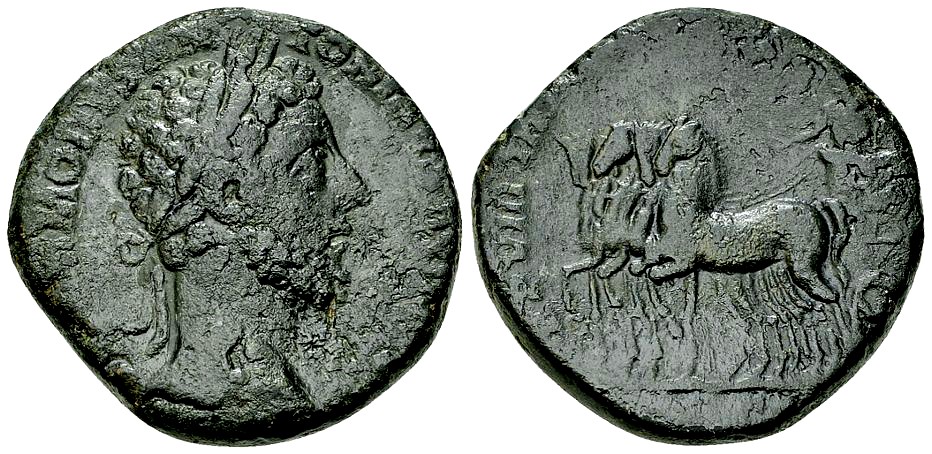 3521147.jpg