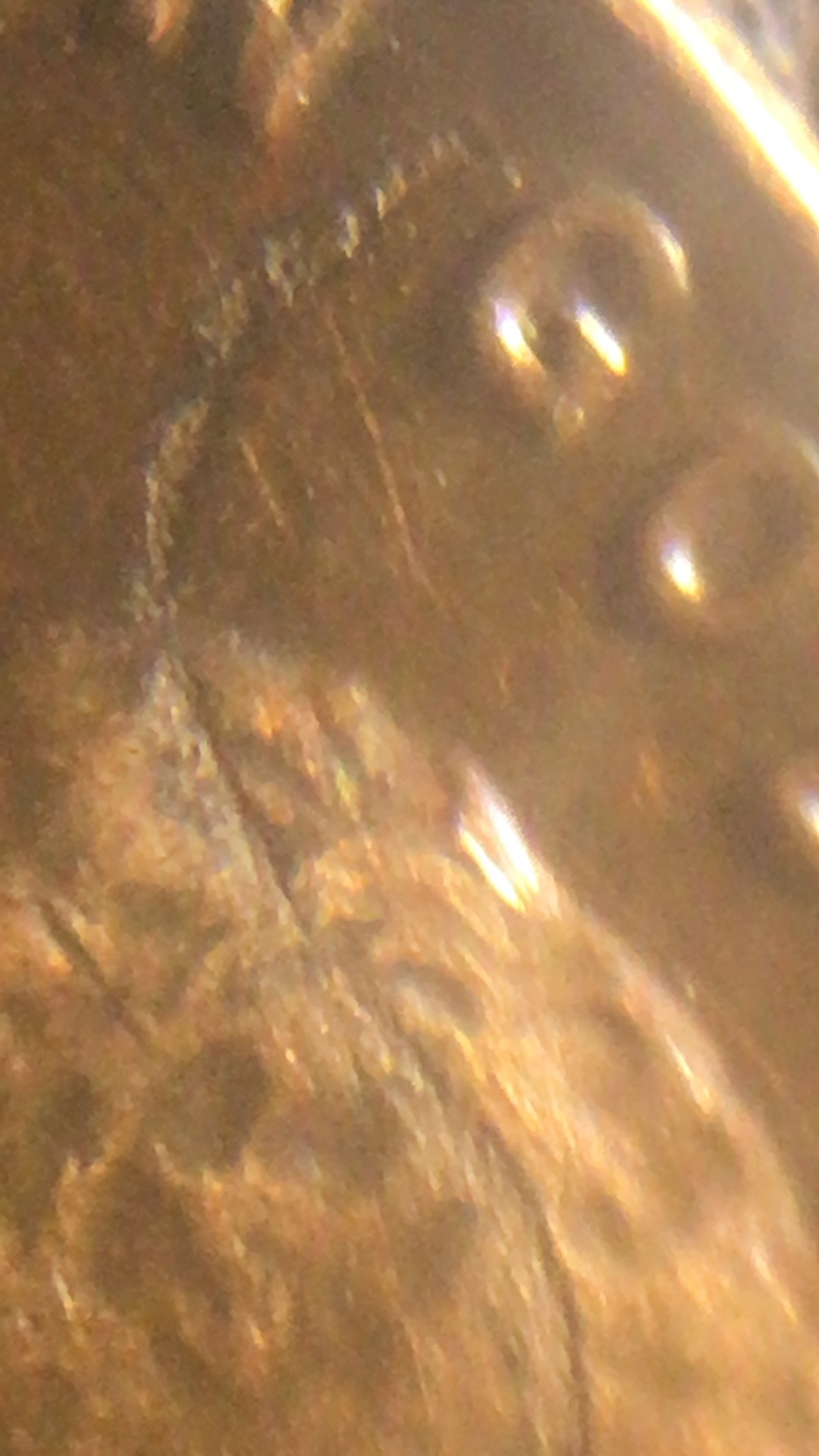 3552F04D-8EDB-4F25-9949-592134628CF6.jpeg