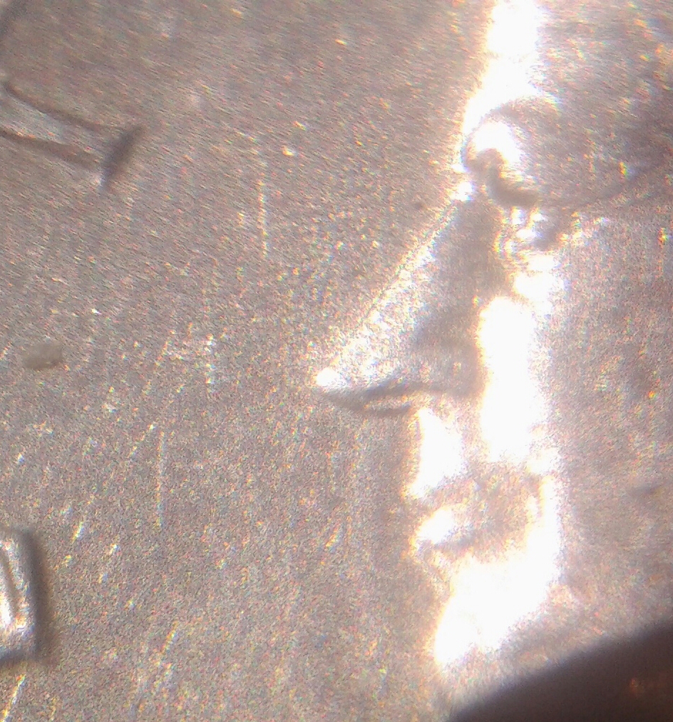 3568387941124420150315_110834-2.jpg