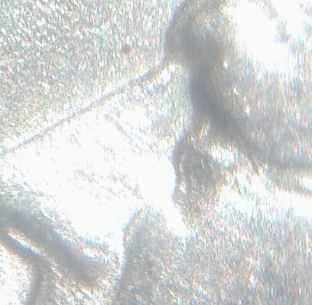3568729140575020150315_110202-1-1.jpg
