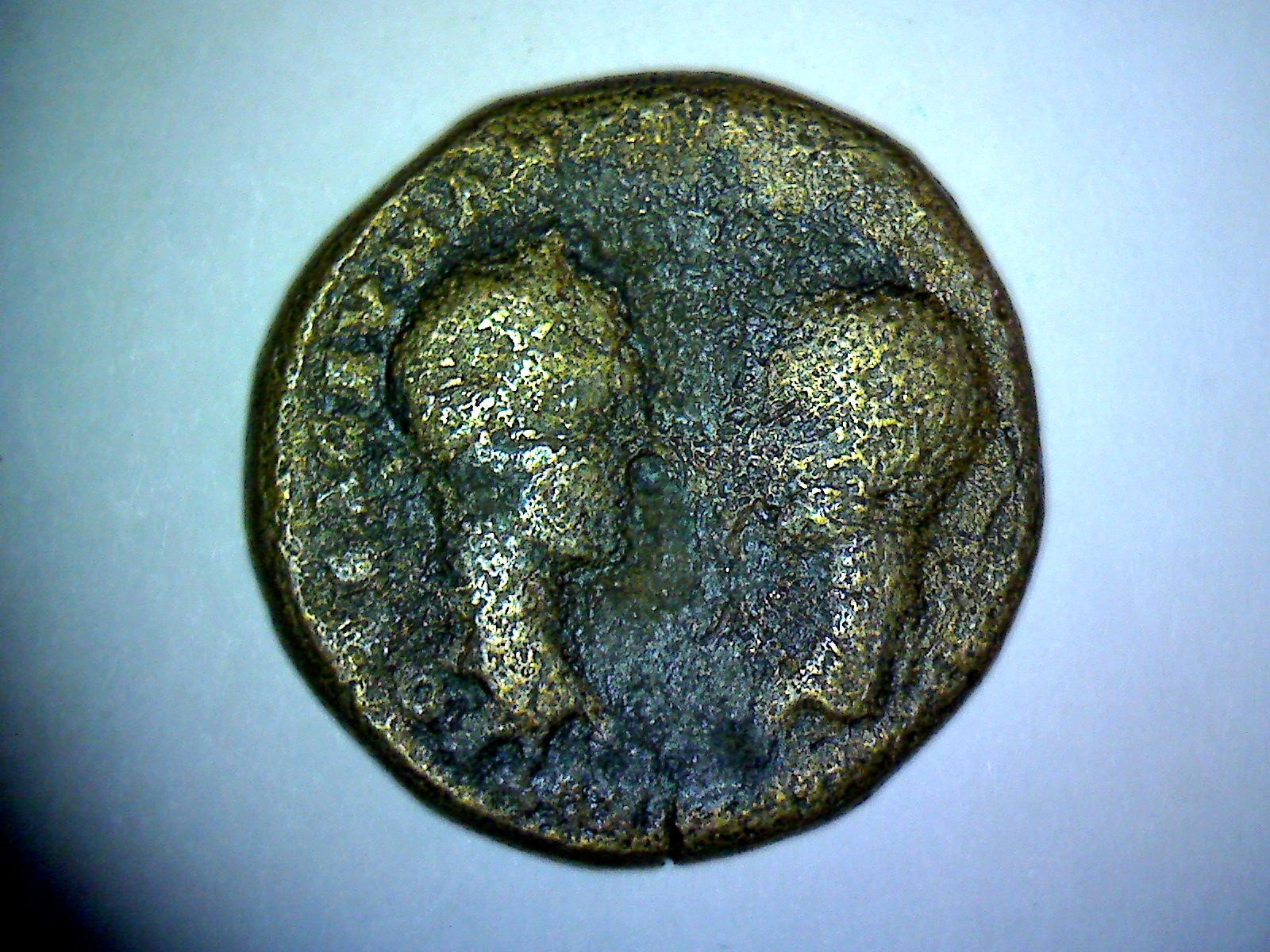 3569923845.jpg