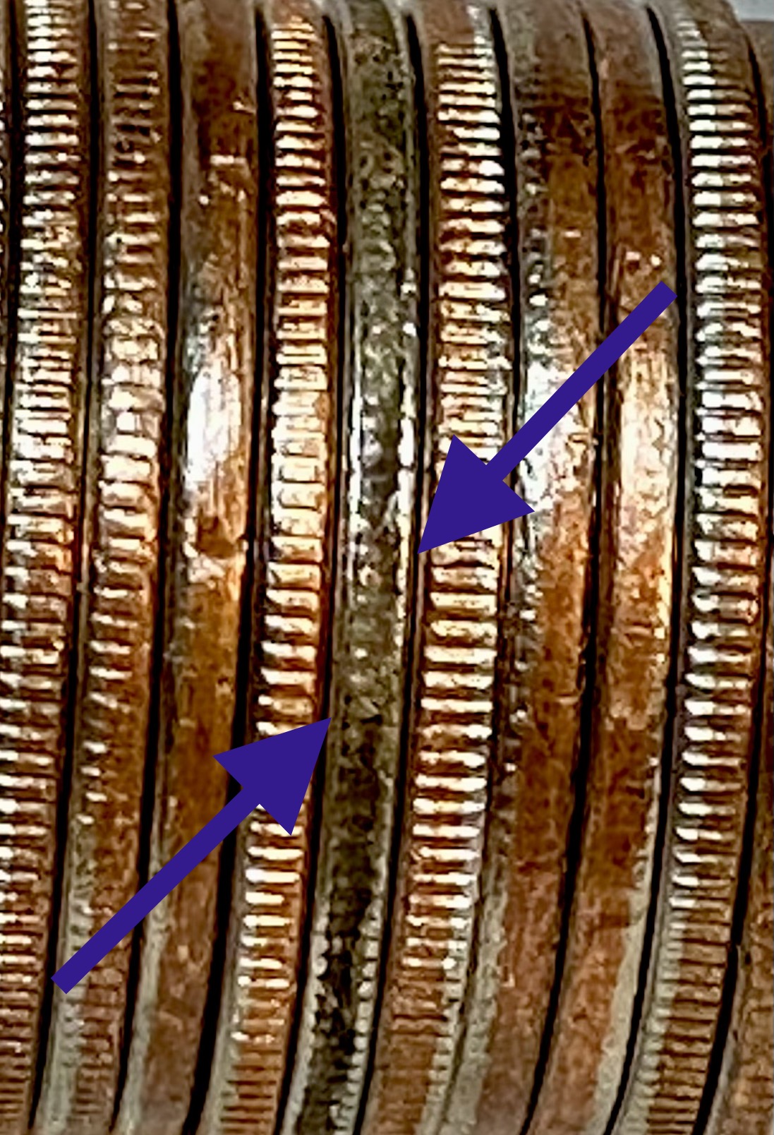 359BEE0A-739C-4082-802E-1502F3229637.jpeg