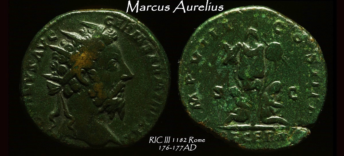35b.jpg