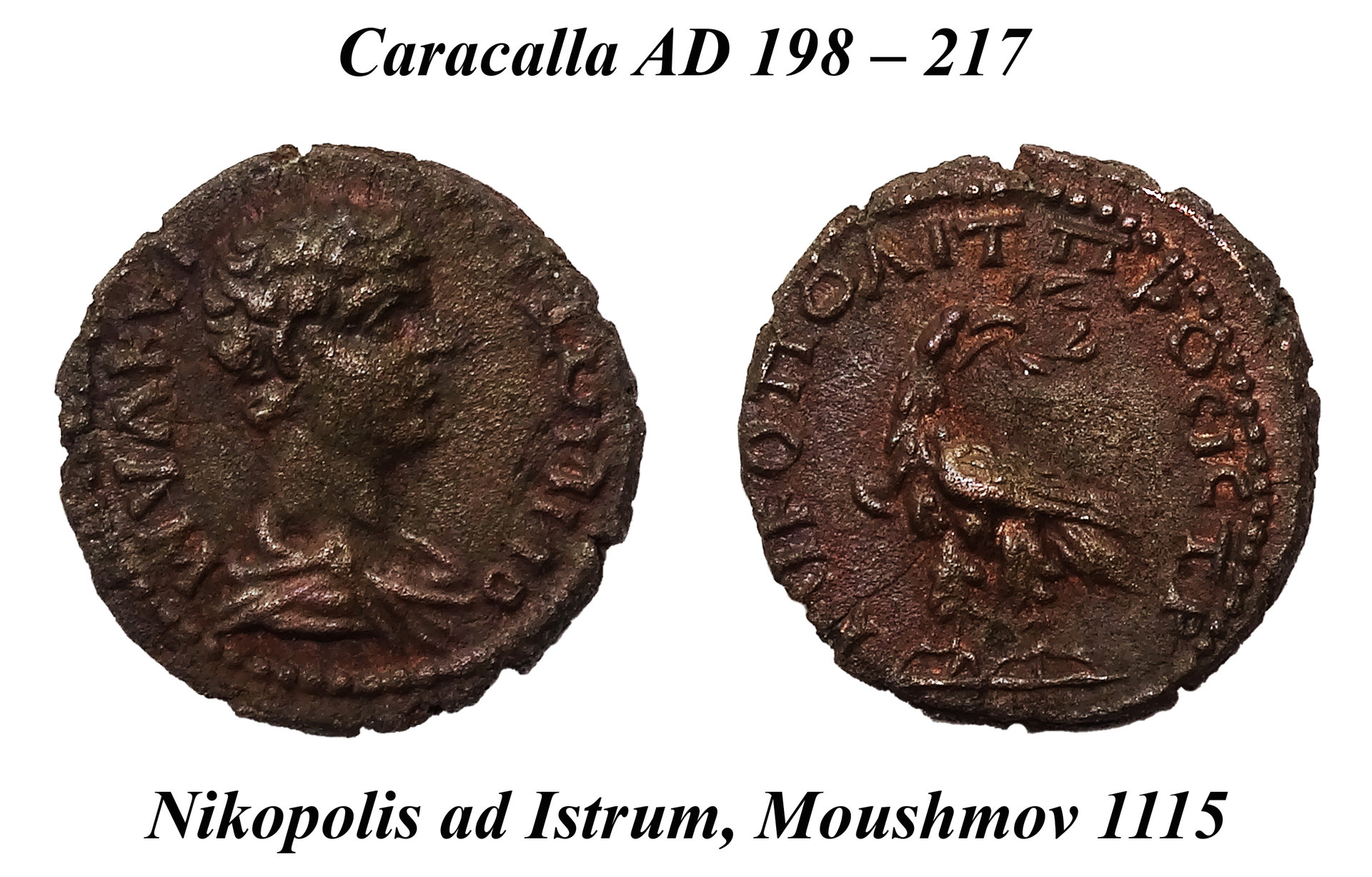 36b Caracalla, Nikopolis ad Istrum, Moushmov 1115.jpg
