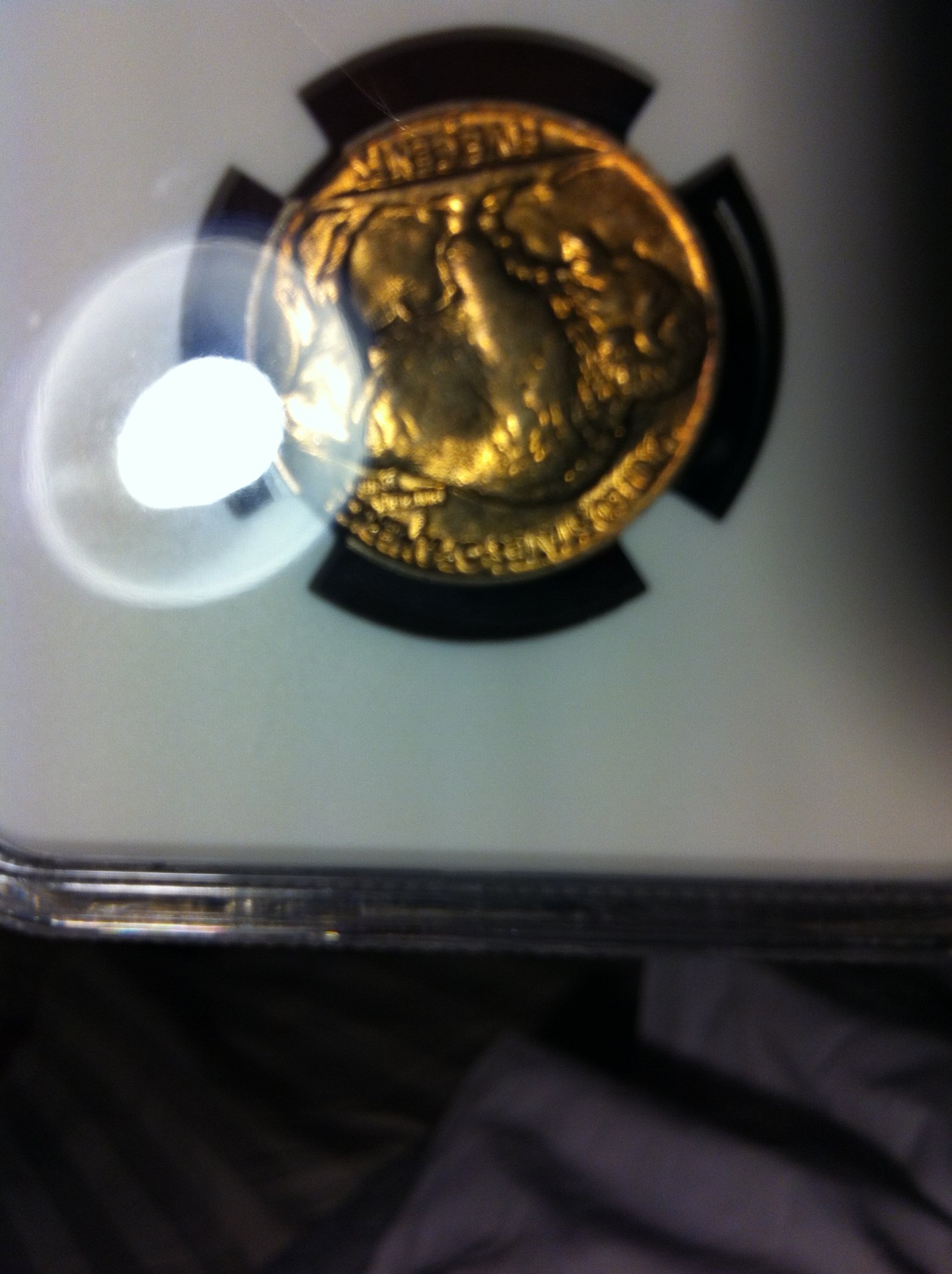 36D Buffalo Reverse.jpg
