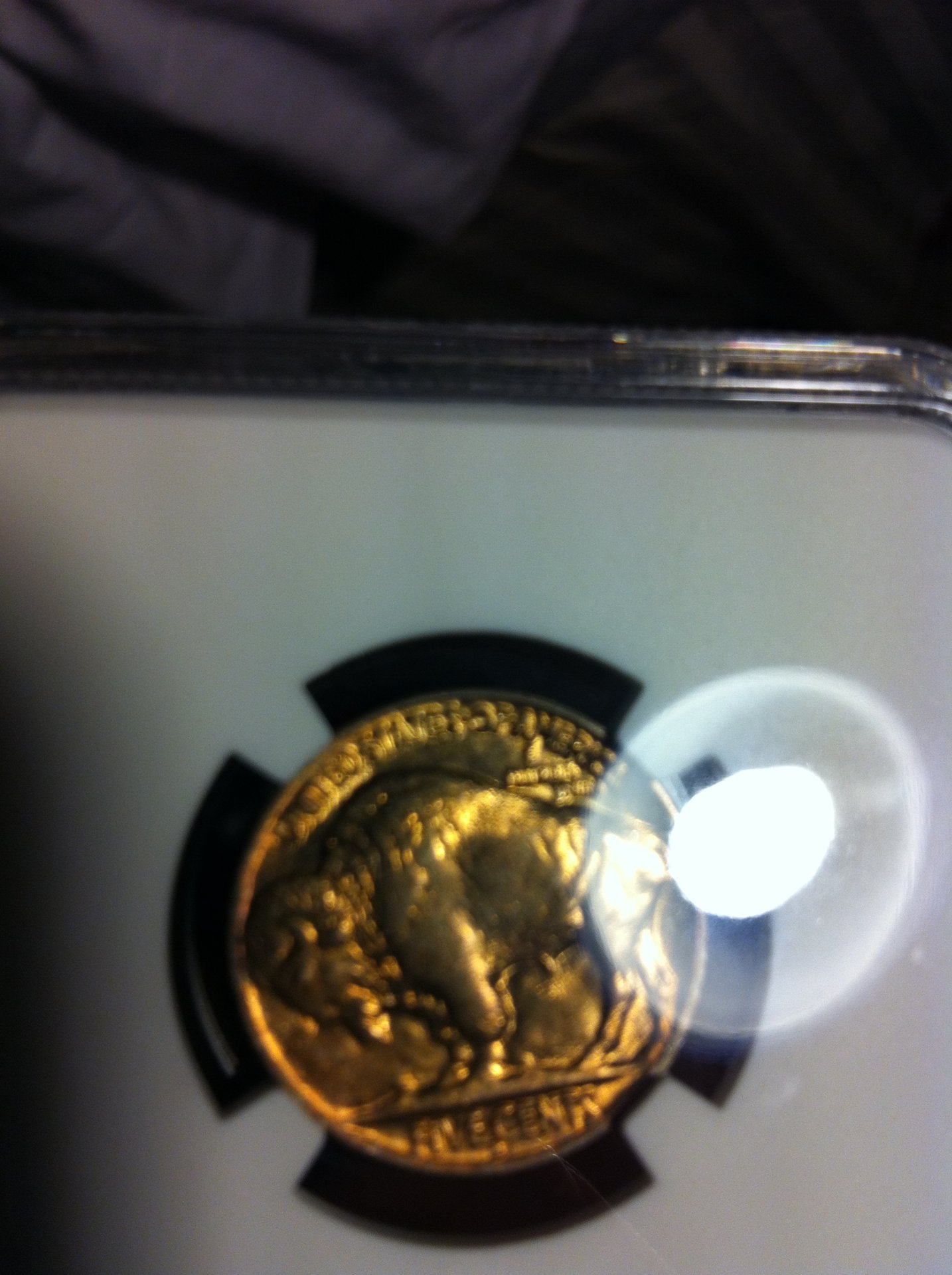 36D Buffalo Reverse.jpg