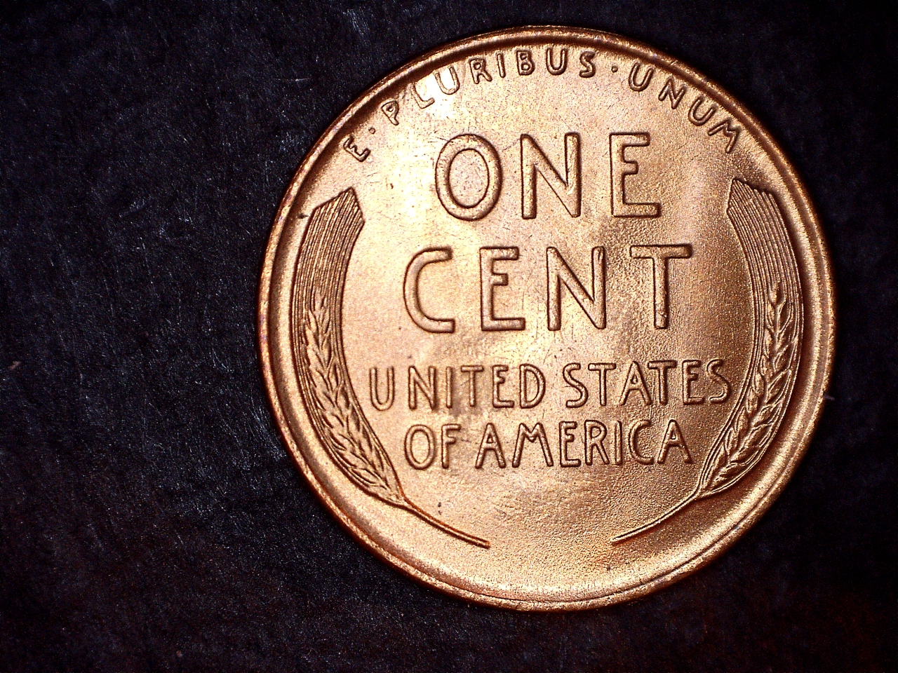 37 r.jpg