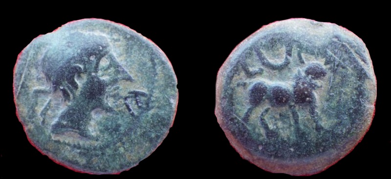 372Celtic.JPG