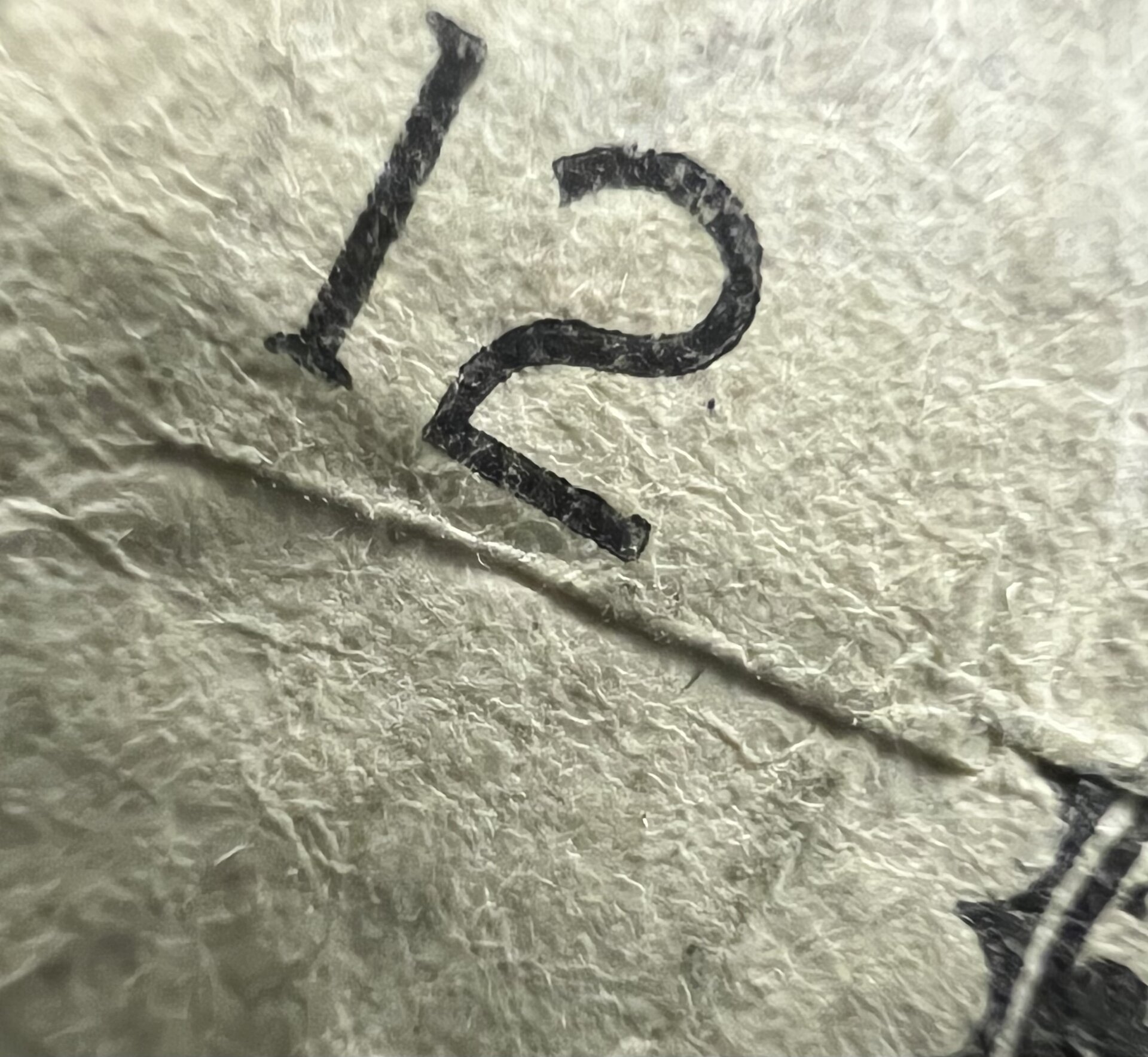 373E66AF-F848-4236-BBAA-A1FE78519637.jpeg