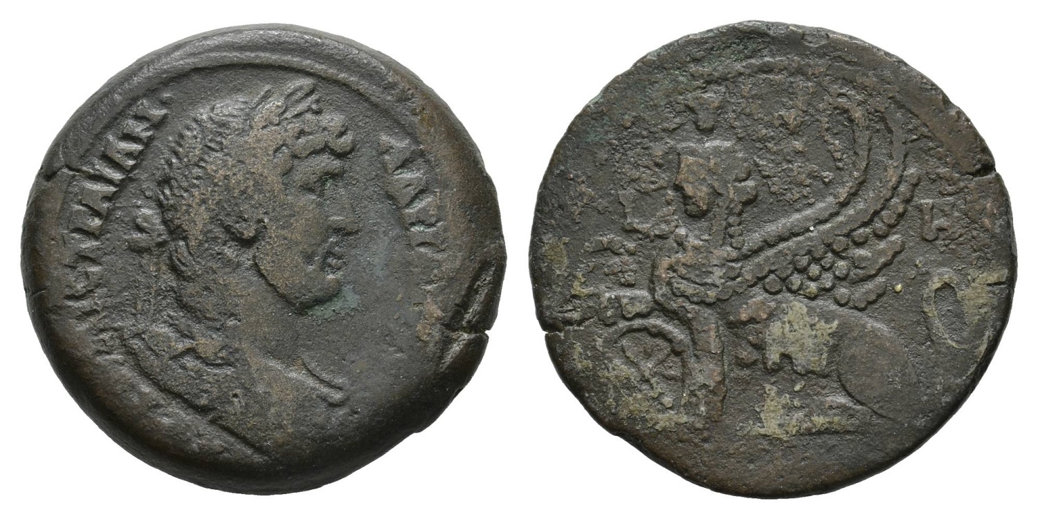 374 P Hadrian Emmett1053.jpg