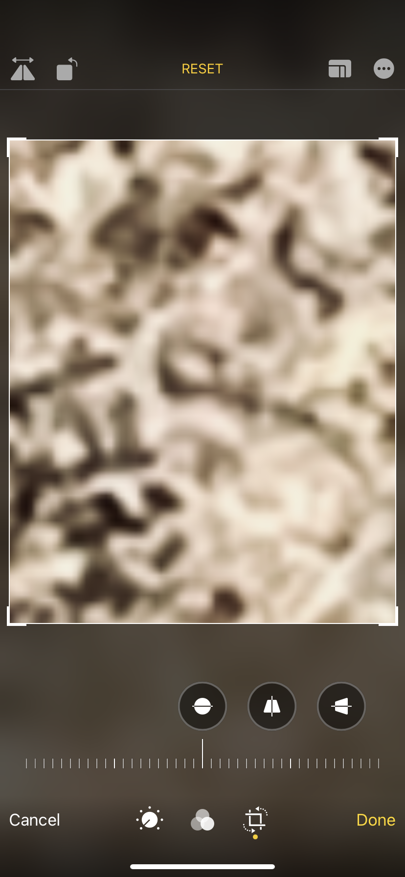 37616E32-EE5F-4B4C-A4E7-9736250873BE.png