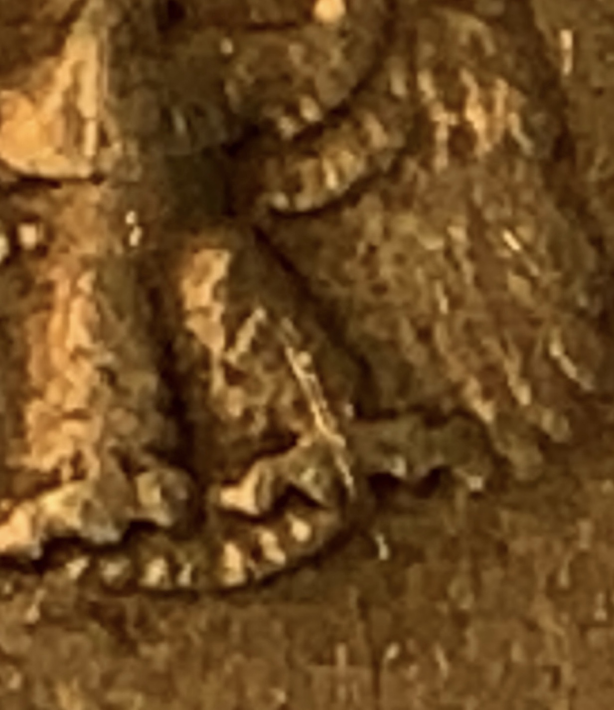 37F82051-65ED-4D41-8091-B0609A4E3EE6.jpeg