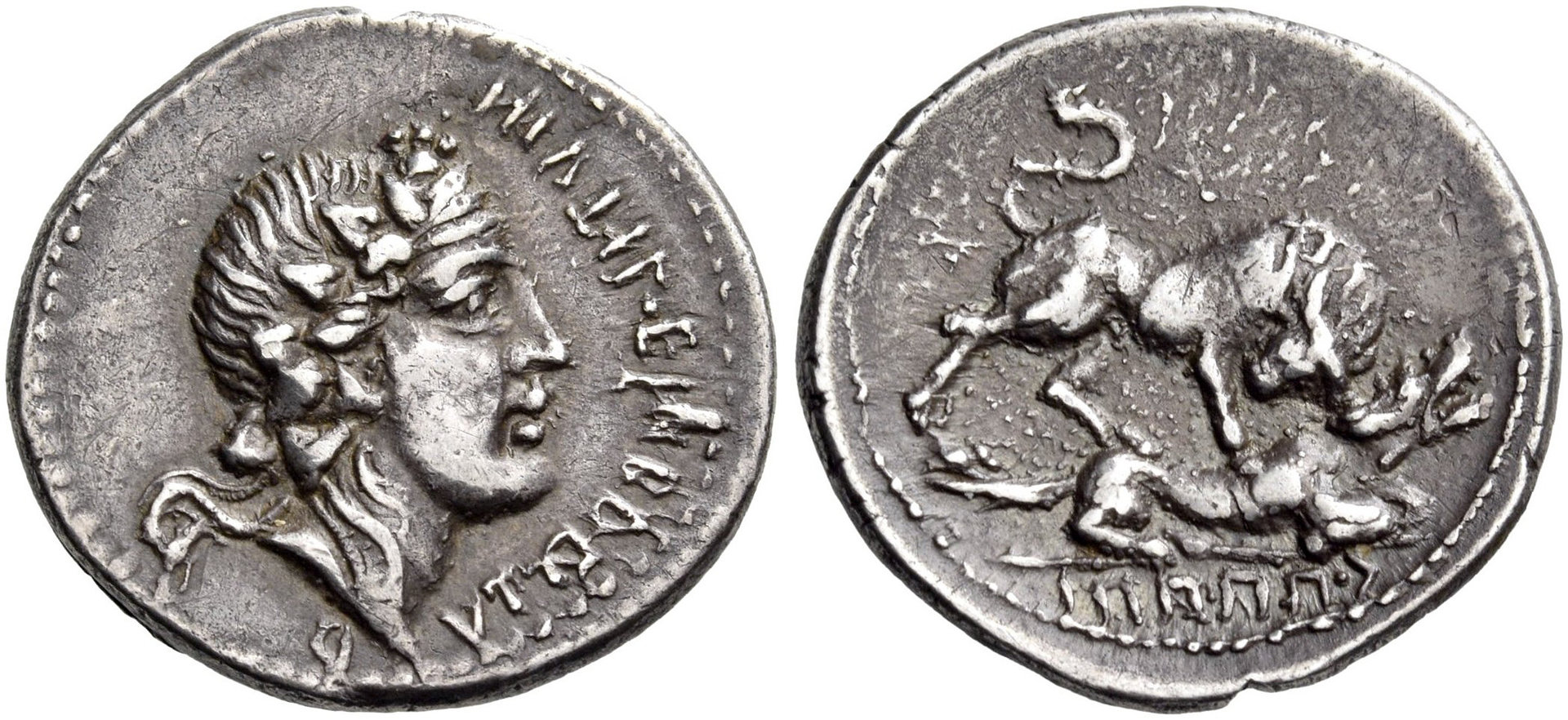 3854370.jpg