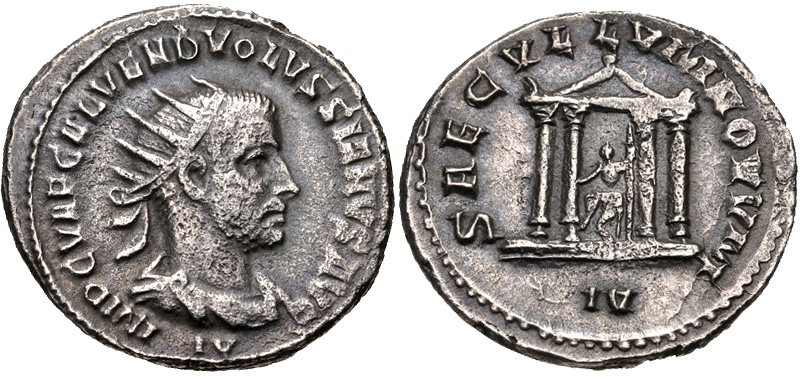 3890732.jpg