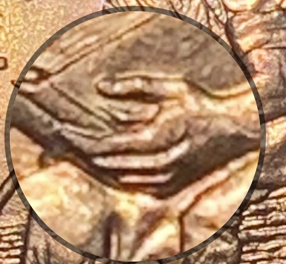 389BCCC5-1C29-4478-92AD-EA32F43982FB.jpeg