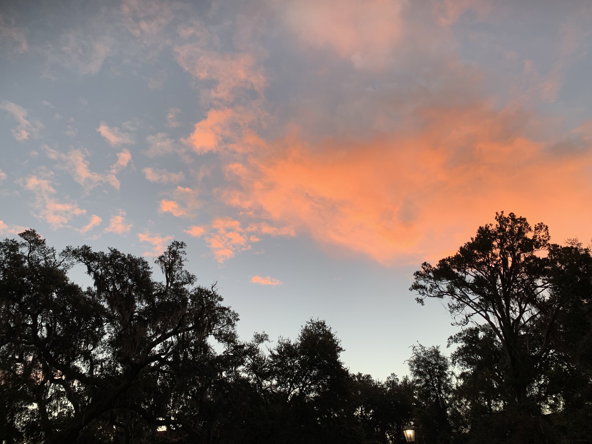 38D4BD34-2361-4B06-BC2B-C71D163B1C4E.jpeg