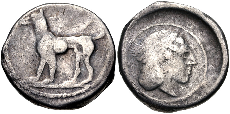 3940107 Segesta Didrachm.jpg